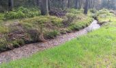 Trail Walking Spa - de la Sauveniere à la Reine, autour de Malchamps  - Photo 8