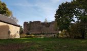 Tocht Stappen Grendelbruch - Grendelbruch - château de Guirbaden - châtaignes - Photo 8