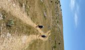 Randonnée Marche Fraissinet-de-Fourques - Nime le Vieux 10 km - Photo 10