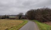 Percorso Marcia Floreffe - Bois du Skerpia et du Poujoux - Photo 6