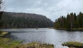 Randonnée Marche La Bresse - Lispach - Photo 4