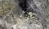 Trail Walking Vallon-Pont-d'Arc - Boucle des grottes  Pont d'arc - Photo 14