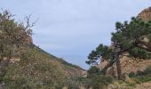 Randonnée Marche Saint-Raphaël - cap roux rocher barthelemy - Photo 5