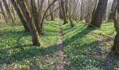 Tour Wandern Rouilly-Sacey - Sacey Resson 16,6km le 25.03.2022 - Photo 12