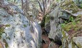 Tocht Stappen Fontainebleau - Fontainebleau sentier Denecourt 9 Est - Photo 12