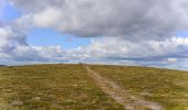 Tour Zu Fuß Unknown - Guldtur 12: Anderssjöarna runt - Photo 4