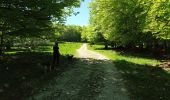 Tour Wandern Omblèze - Refuge d' Ambel - Photo 9