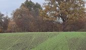 Trail Walking Riemst - petit tour montagne St Pierre  - Photo 4
