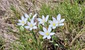 Tour Wandern Aix-en-Provence - sentier Badaire plateau de l'Arbois - Photo 5