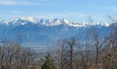 Trail Walking Collonges-sous-Salève - SALEVE - Photo 5