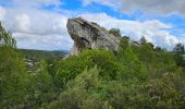 Trail Walking Le Castellet - Autour de la roche Redonne - Photo 14