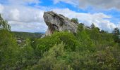 Excursión Senderismo Le Castellet - Autour de la roche Redonne - Photo 14