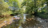 Tour Wandern Rochefort - Entre Lesse et Lomme (GR577) - Photo 15