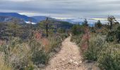 Trail Walking Moustiers-Sainte-Marie - Moustier saine Marie 11,4 km - Photo 9