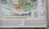 Trail Walking Pleumeur-Bodou - GR_34_EC_31_Pleumer-Bodou_Trebeurden_20241102 - Photo 16