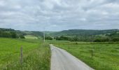 Tour Wandern Doische - Gochenee 19 km - Photo 7