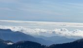 Percorso Racchette da neve Molinetto - Baisse Cavaline - Photo 14