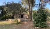 Tour Wandern Marguerittes - Le Télégraphe - La Combe des Bourguignons  - Photo 1