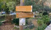 Tocht Stappen Saint-Guilhem-le-Désert - Saint Gilhem le désert  - Photo 1