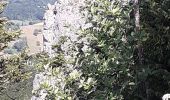 Tour Wandern Saint-Martin-en-Vercors - grotte de la cheminée  - Photo 8