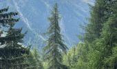 Trail Walking Valsavarenche - 3 Les Eaux Rousses Col du Manteau 2789 m Refuge Tetra Lyre (Pont) +1150 m - 900 m - Photo 2
