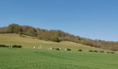 Randonnée Marche Mesnières-en-Bray - mesnieres croixdalle - Photo 2