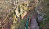 Tocht Stappen Lutzelbourg - Sentier des Roches et vallée des éclusiers - Photo 17