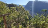 Trail Walking Saint-Louis - Le tapage  piton cabris retour via bras patate - Photo 5