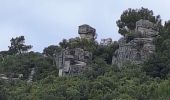 Excursión Senderismo Signes -  vallon d,anis - Photo 4