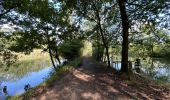 Tour Wandern Zonhoven - Wijvenheijde Zonhoven 14,3 km - Photo 7