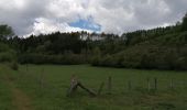 Tour Wandern Florenville - fontenoille  - Photo 13