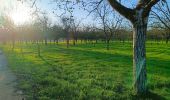 Percorso Mountainbike Vinay - Vinay-variante plateau de la Blache (par Bressot et Faye)  - Photo 5