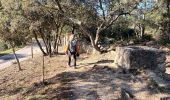 Trail Walking Roquebrune-sur-Argens - Rocher de Roquebrune sur Argens-23-02-22 - Photo 1