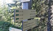 Trail Walking Manigod - ARAVIS: POINTE D'ORSIERE - Photo 8