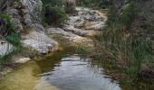 Trail Walking Poulx - Poulx la Baume par balcon et ruisseau - Photo 11