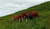 Tour Wandern Hasparren - Urcuray - Photo 10