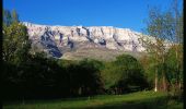 Tour Zu Fuß Unknown - planinarska staza Mirkovići - Brezovac - Photo 9