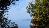 Tour Wandern Rayol-Canadel-sur-Mer - Wikiloc - Le rayon canadel - Opidum de monjean - Photo 16