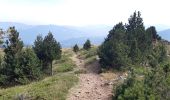 Trail Walking Corsavy - mine de batere . puig d estella . tout batere - Photo 5