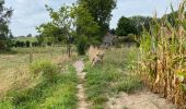 Trail Walking Maarkedal - Louise Marie 12,7 km - Photo 18