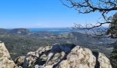 Tour Wandern La Garde-Freinet - La garde freinet - Notre Dame de Miremer - Photo 4