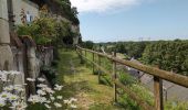 Trail Walking Montsoreau - Montsoreau - Candes-Saint-Martin Fontevraud-l'Abbaye - 24.4km 435m 5h40 (45mn) - 2024 07 14 - Photo 14