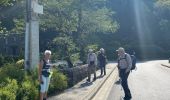 Trail Walking Paliseul - Maissin, pvl juillet 2025 - Photo 11