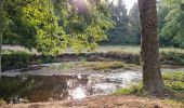 Tour Wandern Limoges - Limoges moulin blanc parcs - Photo 7