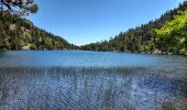 Trail Walking Font-Romeu-Odeillo-Via - Lacs infér. des Bouillouses  - Photo 5