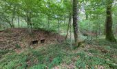 Randonnée Vélo électrique Essert - VTT - Essert - Salbert - Vétrigne - Miotte - Citadelle Belfort - Essert - Photo 5