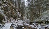 Randonnée Marche Waimes - Sur les traces de l'ultratrail 🥾 - Photo 12