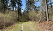 Trail Walking Compiègne - en forêt de Compiègne_48_sur les Routes de la Mariolle et du Grand Veneur - Photo 10