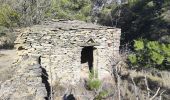 Trail Walking Laure-Minervois - Laure Minervois les Capitelles - Photo 2