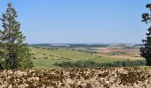 Tour Wandern Bouxières-aux-Chênes - bouxieres aux chênes - Blanzey - Photo 9